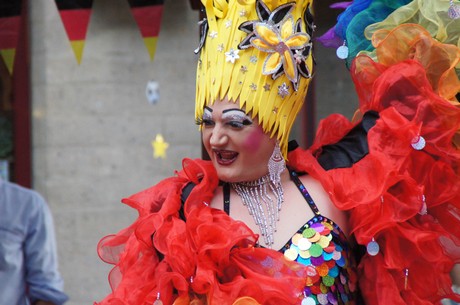 csd-2014