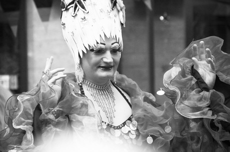 csd-2014