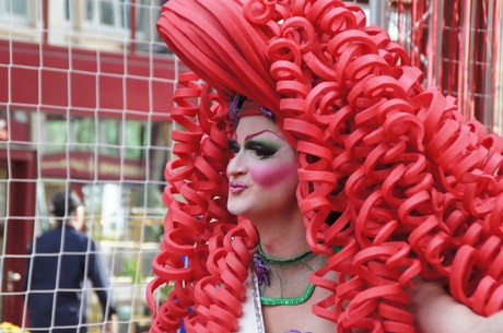 csd-2014