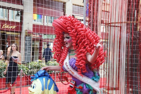 csd-2014