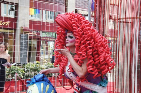 csd-2014