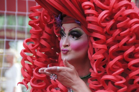 csd-2014