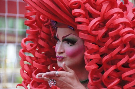 csd-2014