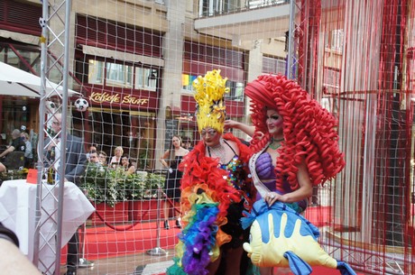 csd-2014