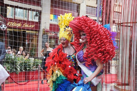 csd-2014