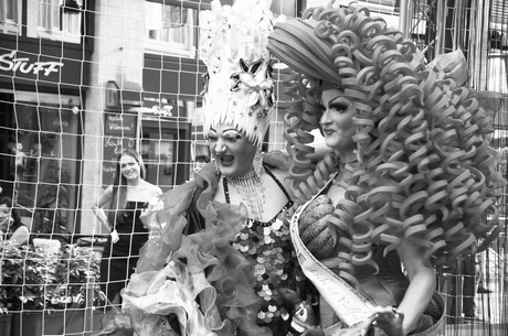 csd-2014