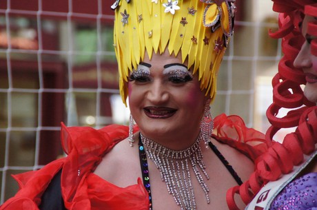 csd-2014