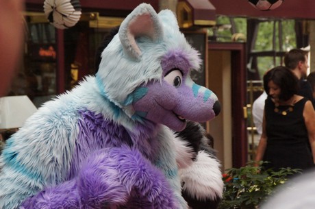 csd-2014