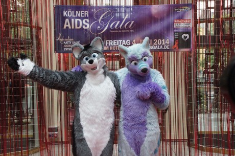 csd-2014