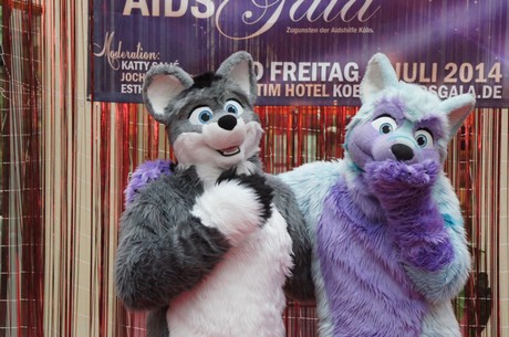 csd-2014