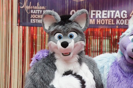 csd-2014