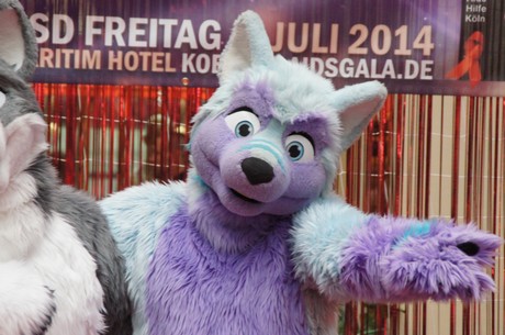csd-2014