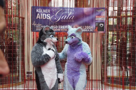 csd-2014