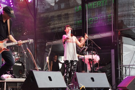 csd-2014