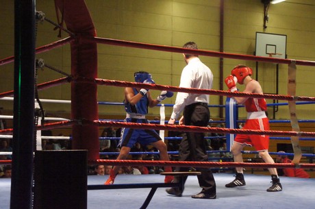 boxen