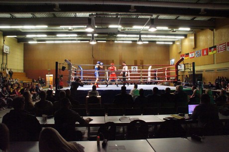 boxen