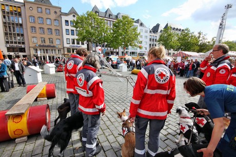 ehrenamtstag