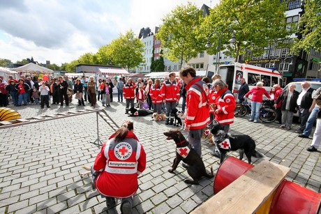 ehrenamtstag