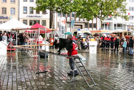 ehrenamtstag