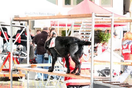 ehrenamtstag