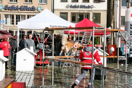 ehrenamtstag