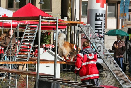 ehrenamtstag