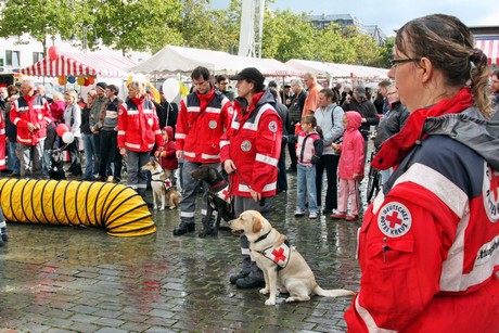 ehrenamtstag