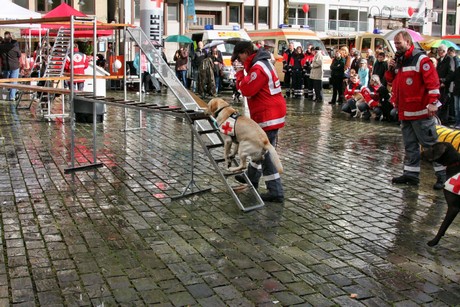 ehrenamtstag