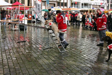 ehrenamtstag