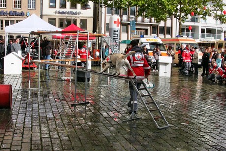 ehrenamtstag