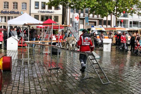 ehrenamtstag