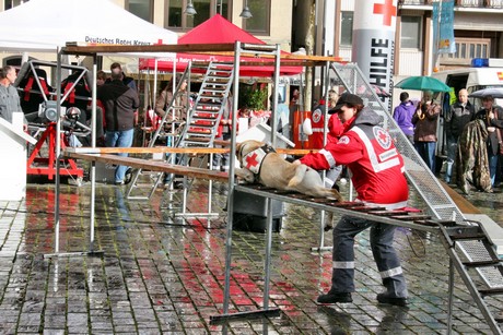 ehrenamtstag
