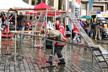 ehrenamtstag