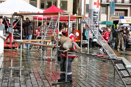 ehrenamtstag