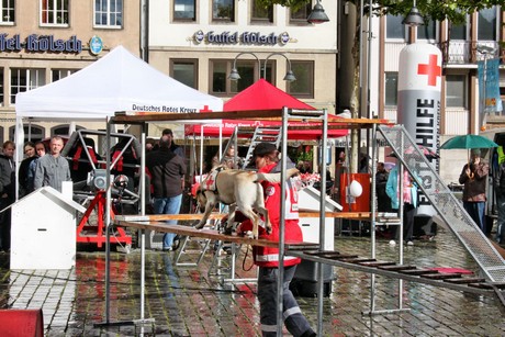 ehrenamtstag