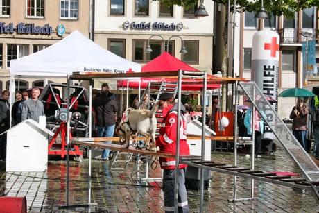 ehrenamtstag