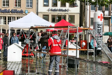ehrenamtstag