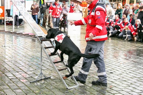 ehrenamtstag