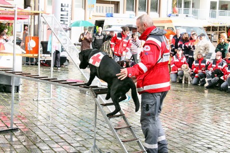 ehrenamtstag