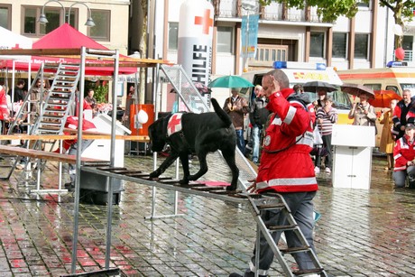 ehrenamtstag