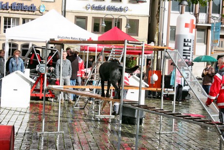 ehrenamtstag