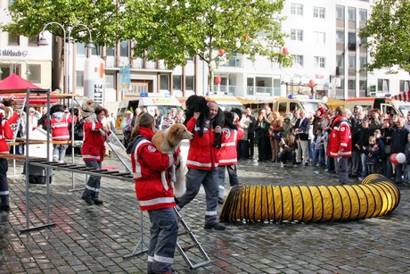 ehrenamtstag