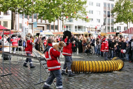 ehrenamtstag