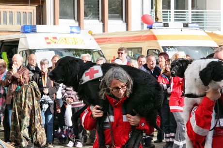 ehrenamtstag