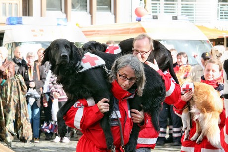 ehrenamtstag