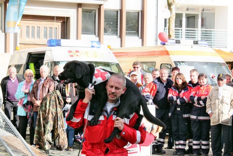 ehrenamtstag