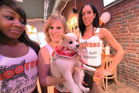 hooters