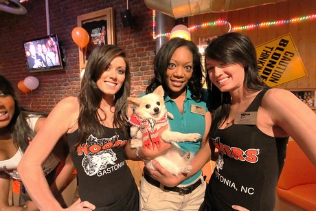 hooters