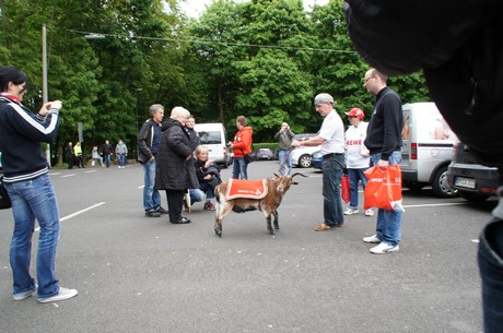 fc-ehrensache