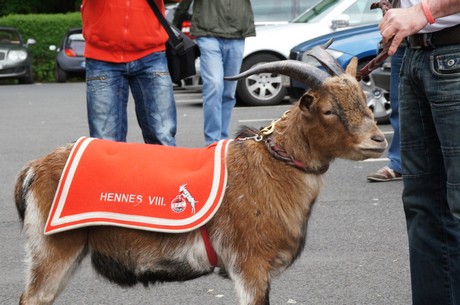 fc-ehrensache